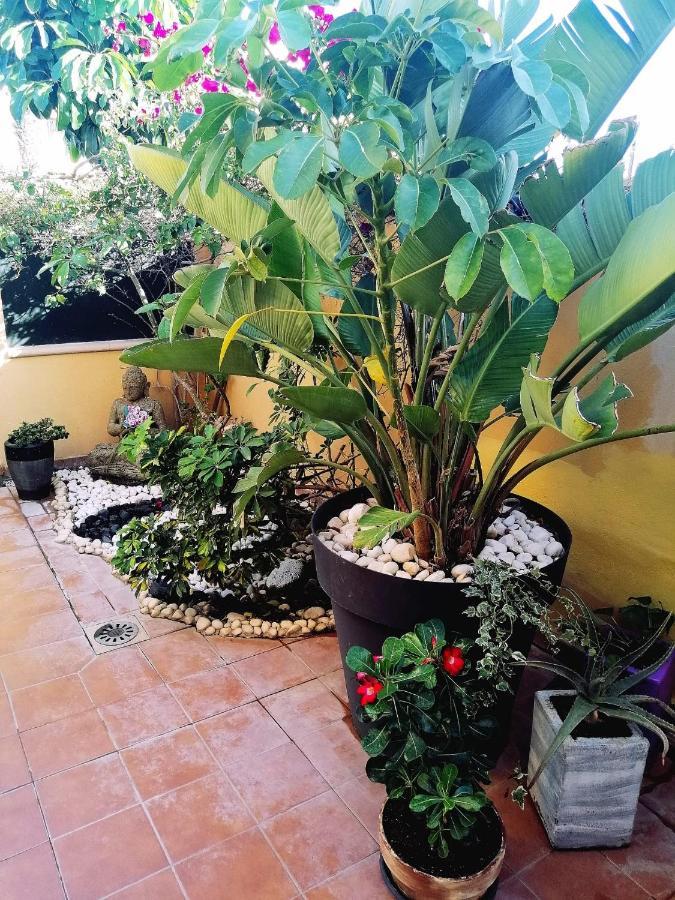 Vivienda Vacacional Vaiana Las Rosas  Екстериор снимка